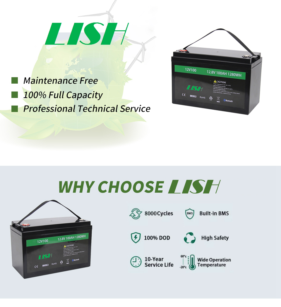 OEM Lifepo4-Akku-Lithium-Akku wiederaufladbar
