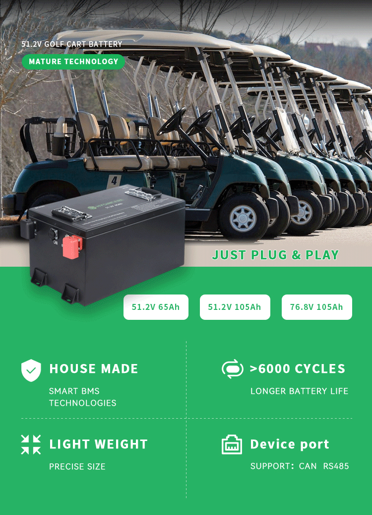  Akkupack für Golfwagen 51,2 V